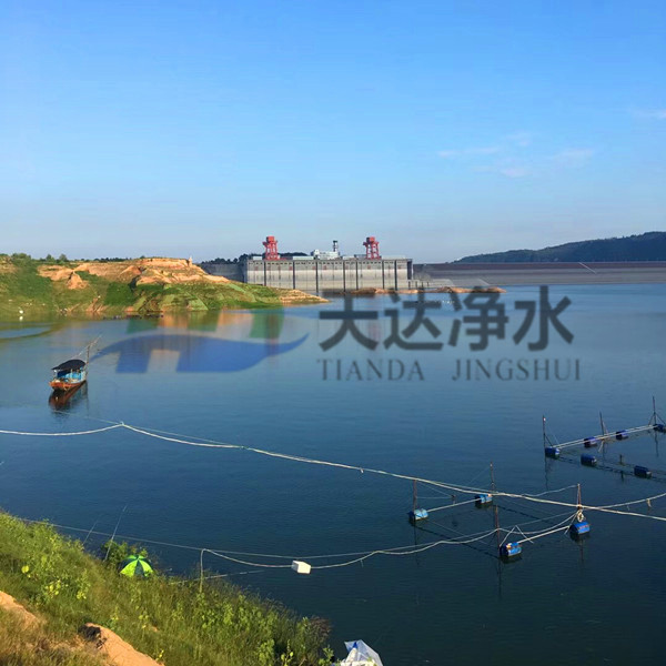 �(y��ng)�x�Ӿ۱�ϩ�����c��x�Ӿ۱�ϩ������;�ϵą^(q��)�e